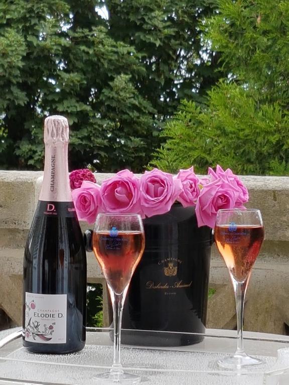 La Demeure D'Elodie Épernay Exteriér fotografie
